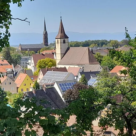 アパート Unterm Tulpenbaum ミュールハイム