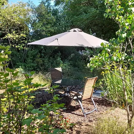 アパート Unterm Tulpenbaum *